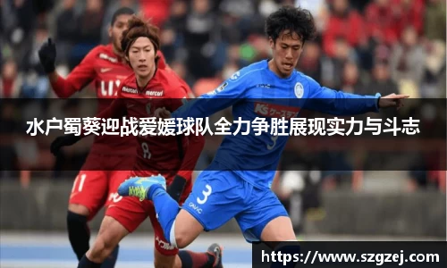 zoty中欧