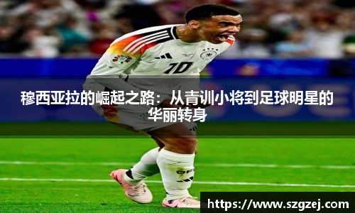 zoty中欧官网
