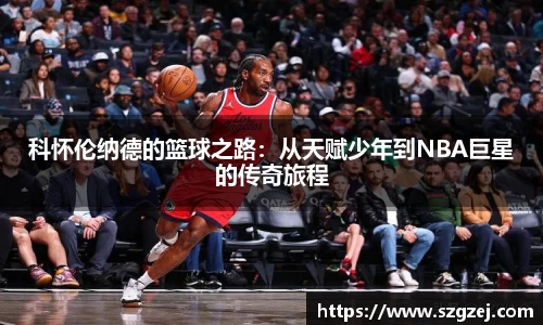 zoty中欧官方网站