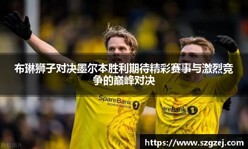 布琳狮子对决墨尔本胜利期待精彩赛事与激烈竞争的巅峰对决