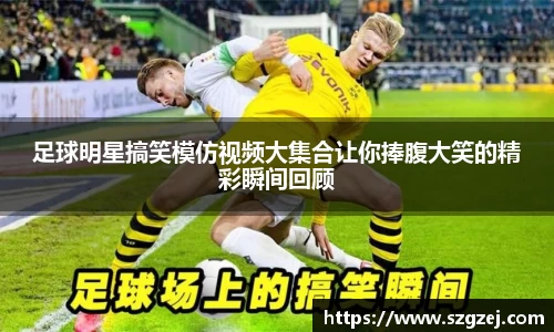 zoty中欧官方网站